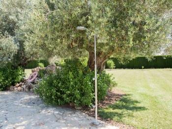 Photo-31
