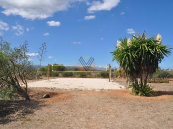 Photo-7