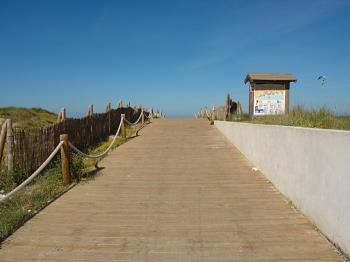 Photo-49