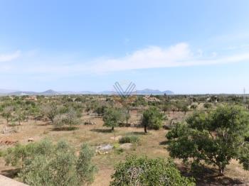 Photo-42