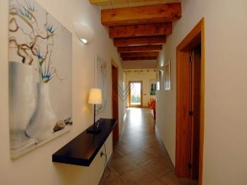 Photo-13