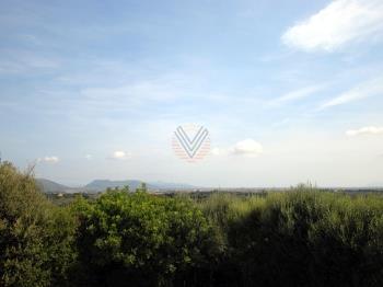 Photo-31
