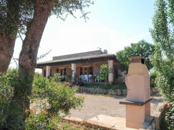 Photo-29
