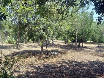 Photo-32