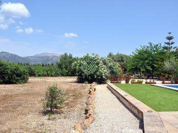 Photo-36