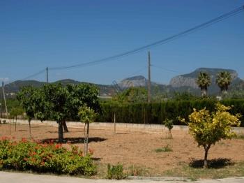 Photo-29