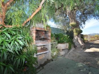 Photo-11