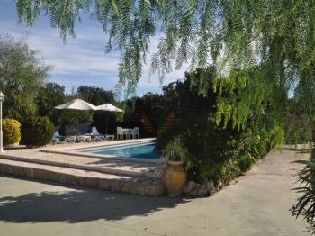 Photo-7