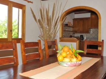 Photo-11