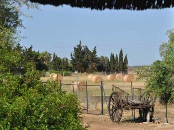Photo-37