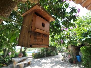 Photo-12