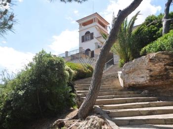 Photo-8
