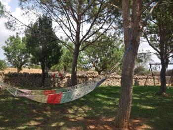 Photo-12