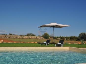 Photo-6