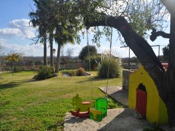Photo-6