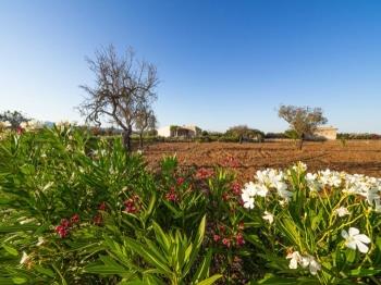 Photo-20