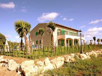 Photo-45
