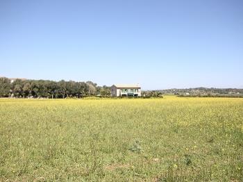 Photo-47